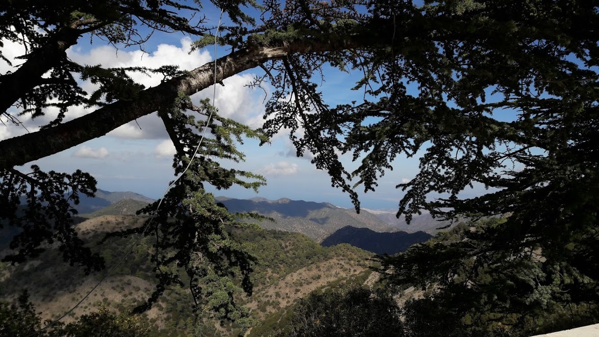 heart of troodos (mini group) <br>